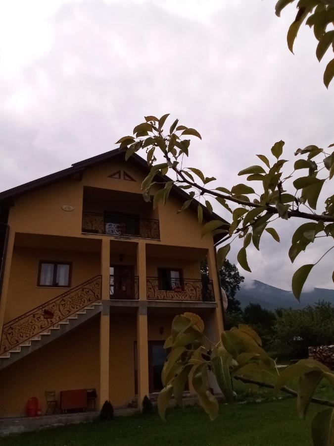 Casa Dana Hotel Borşa Eksteriør billede